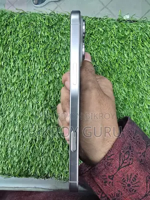অ্যাপল আইফোন ১৬ প্রো ম্যাক্স ২৫৬ জিবি