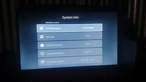 I have two TVs at home so I will sell one