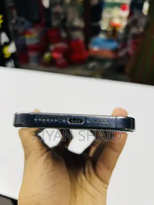 অ্যাপল আইফোন ১৫ প্রো ম্যাক্স ২৫৬ জিবি
