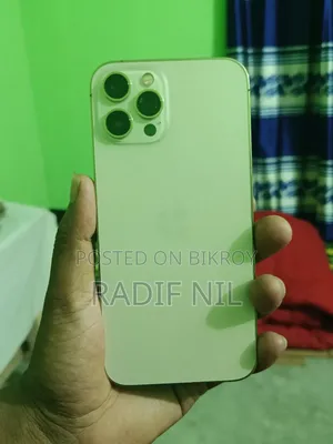 Apple iPhone 12 Pro Max 256 GB Rose Gold