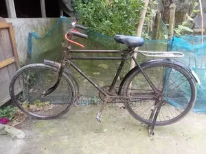 ফনিক্স সাইকেল