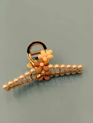 Claw Hair Clip