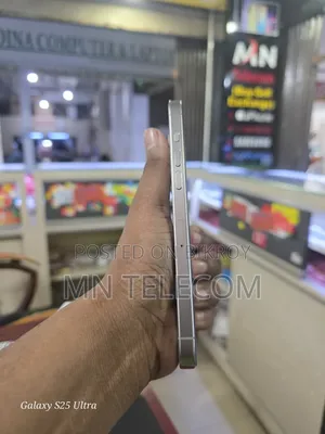 Apple iPhone 15 Pro Max 256 GB Silver