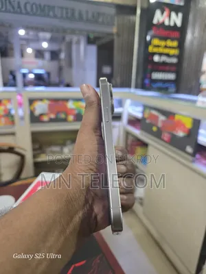 Apple iPhone 15 Pro Max 256 GB Silver