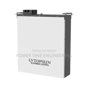 Lvtopsun 51.2v 100ah Lifepo4