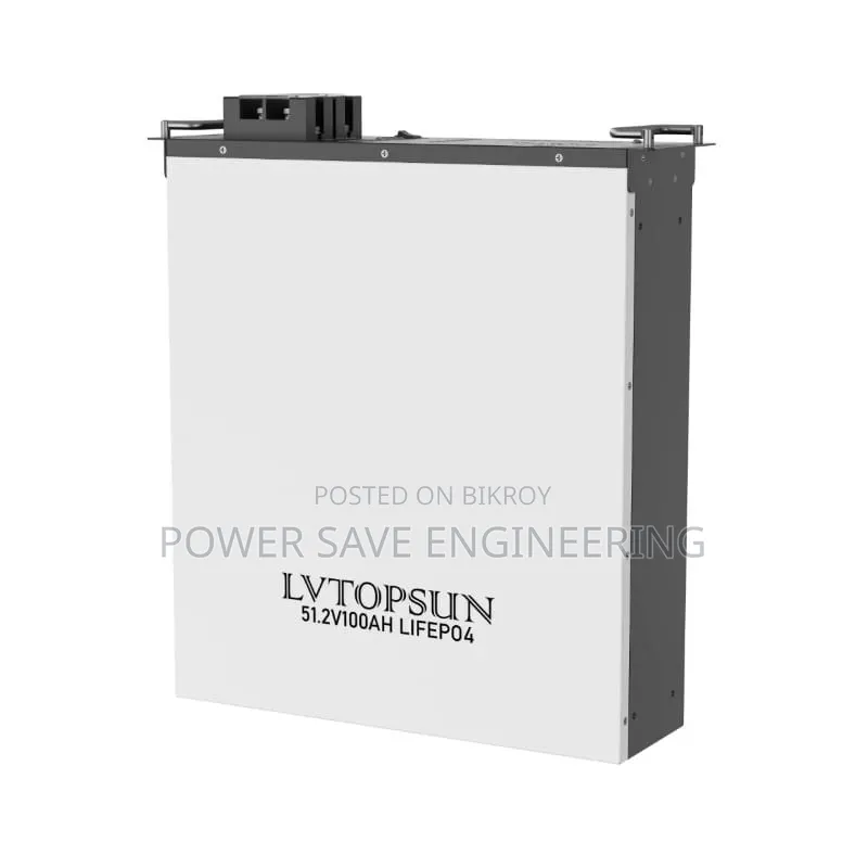 Lvtopsun 51.2v 100ah Lifepo4