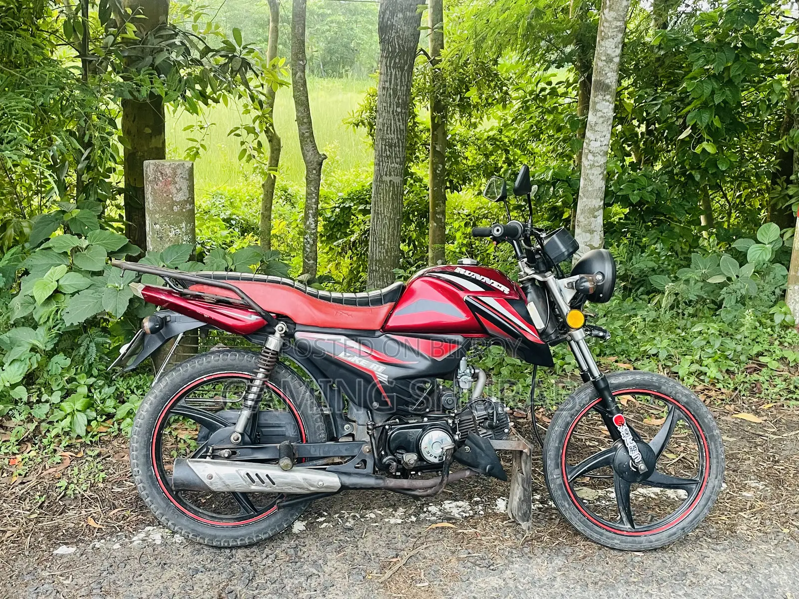 Runner BIKE RT 80 2019 Red