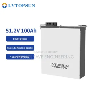 Lvtopsun 51.2v 100ah Lifepo4