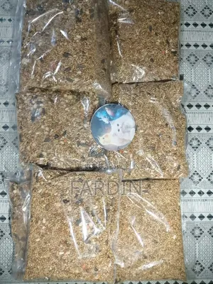 Bird Food