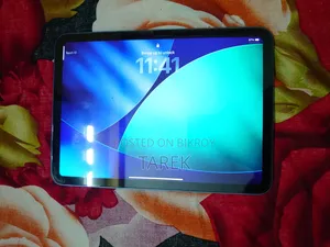 Apple iPad (2025) 128 GB Blue