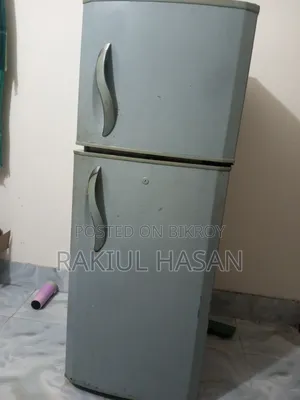 ফ্রিজ, Fridge