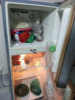 ফ্রিজ, Fridge