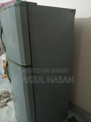 ফ্রিজ, Fridge
