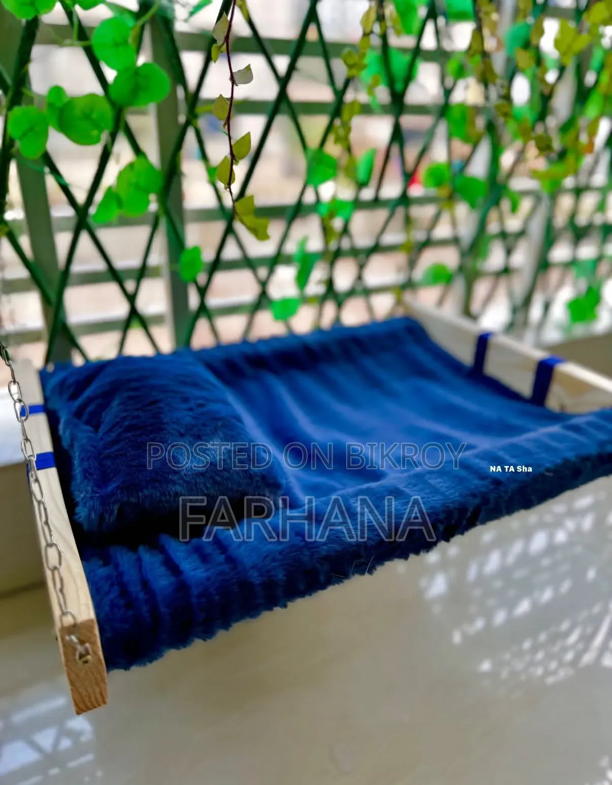 ১+ বছর বয়সী পুরুষ মিশ্র জাতের বেঙ্গল