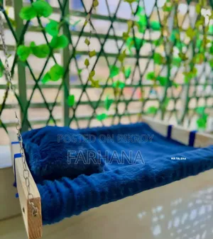 ১+ বছর বয়সী পুরুষ মিশ্র জাতের বেঙ্গল