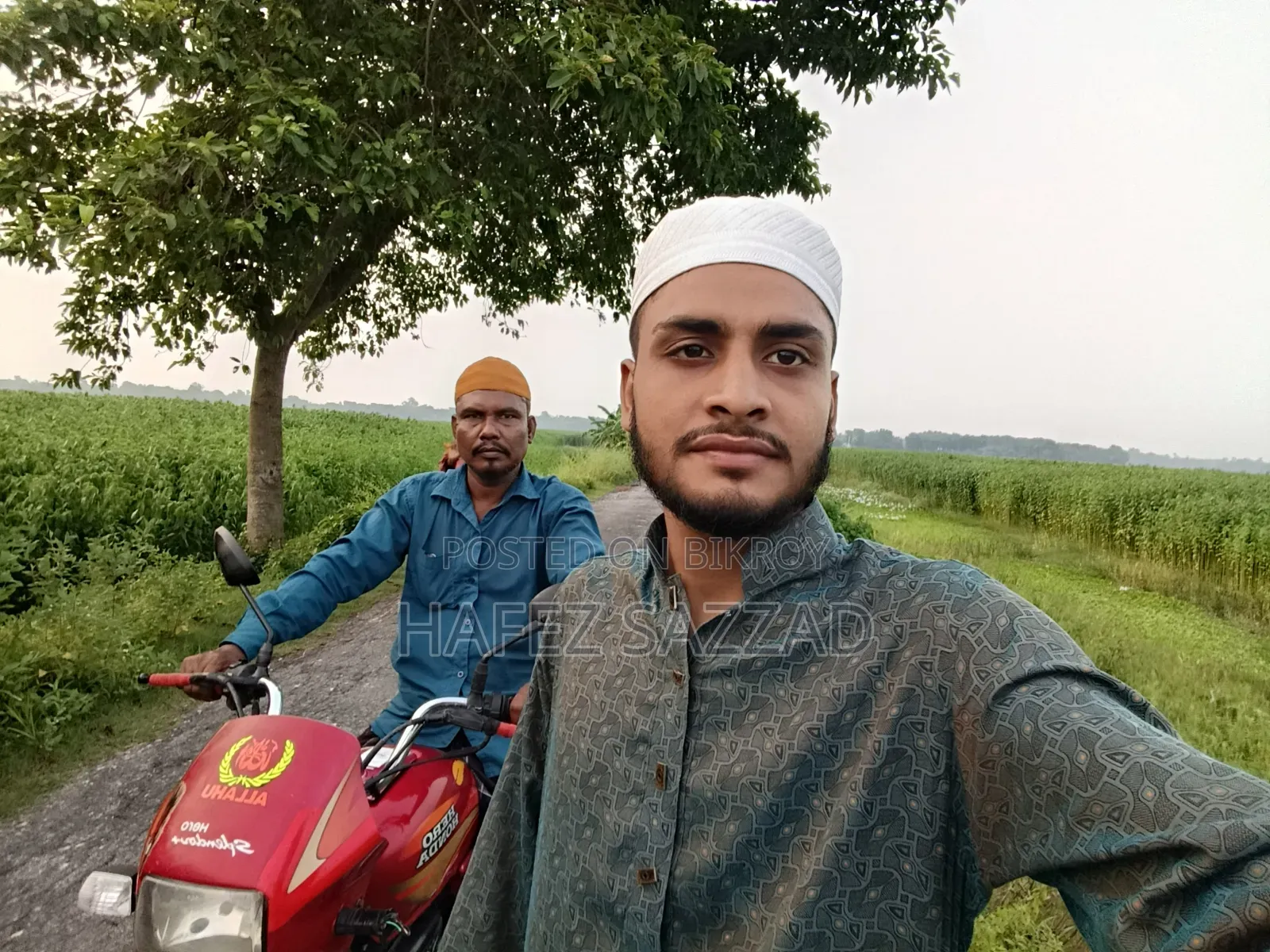 Hero Splendor Plus Sports 2014 Red