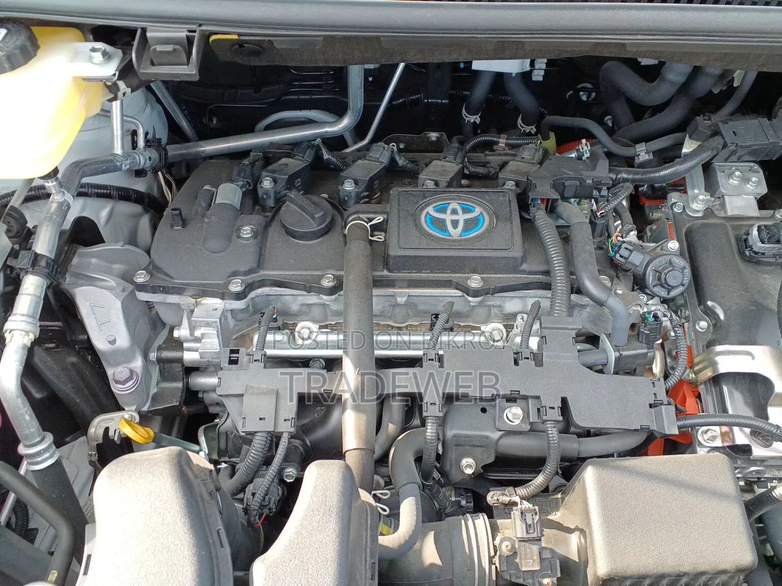 Toyota Noah 2022 Pearl