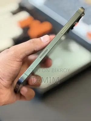 Apple iPhone 13 Pro Max 256 GB Green