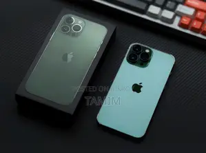 Apple iPhone 13 Pro Max 256 GB Green