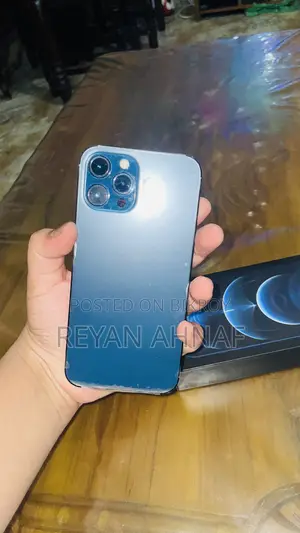 Apple iPhone 12 Pro Max 256 GB Blue