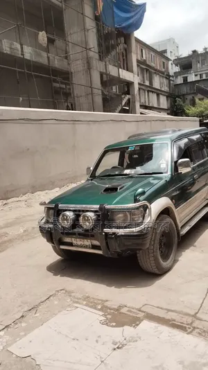Mitsubishi Pajero 1993 Blue