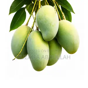 আম্রপালি আম-১০ কেজি