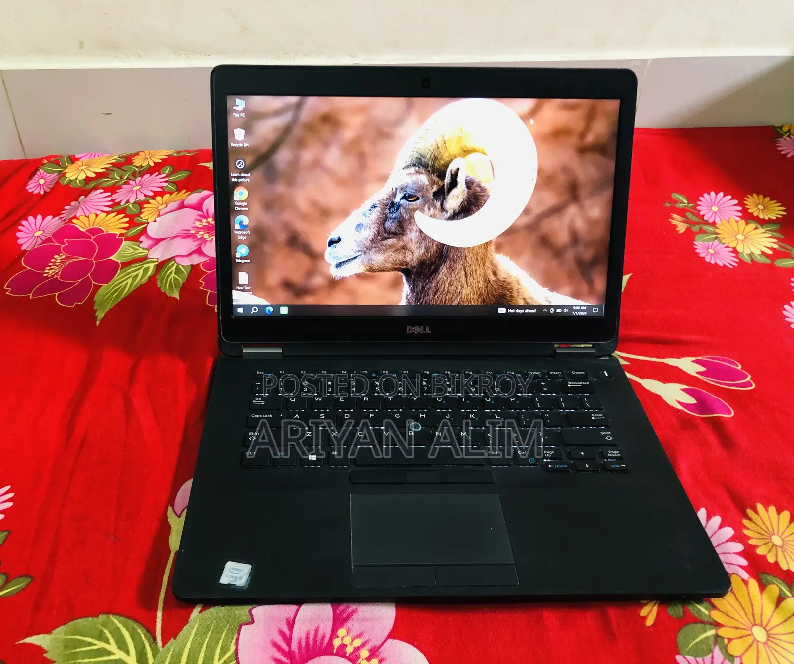 Laptop Dell Latitude 7480 8GB Intel Core I5 SSD 256GB