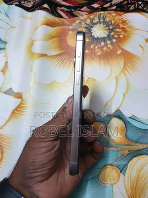 অ্যাপল আইফোন ১৫ প্রো ম্যাক্স ২৫৬ জিবি সিলভার