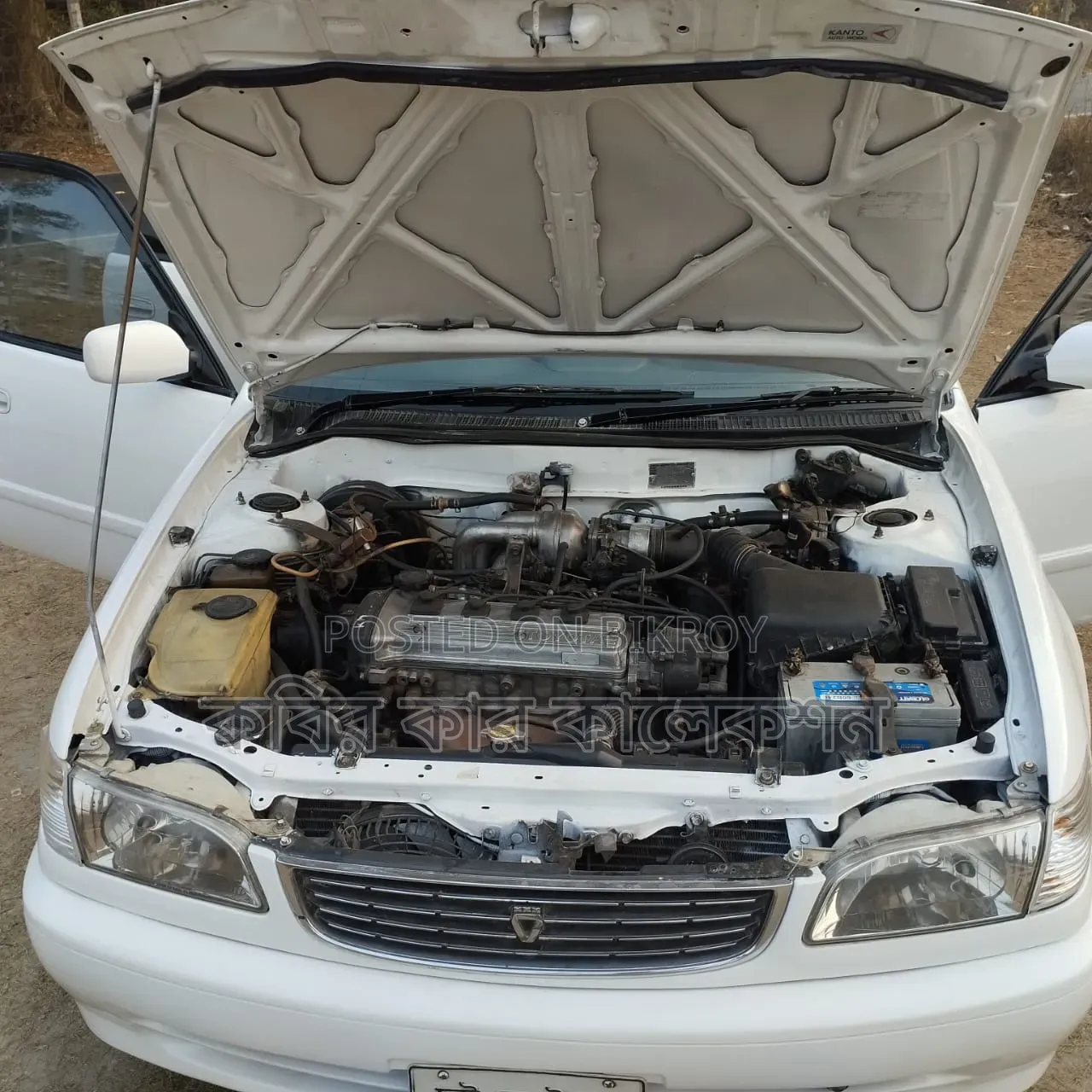 Toyota Corolla 1999 White