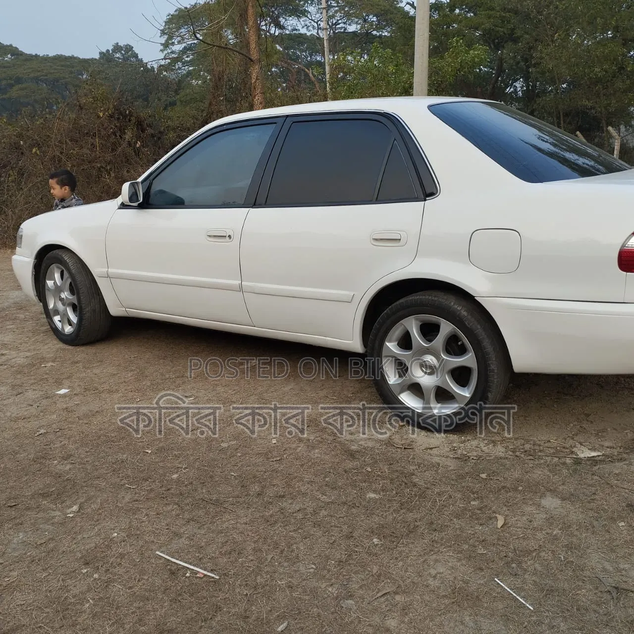 Toyota Corolla 1999 White