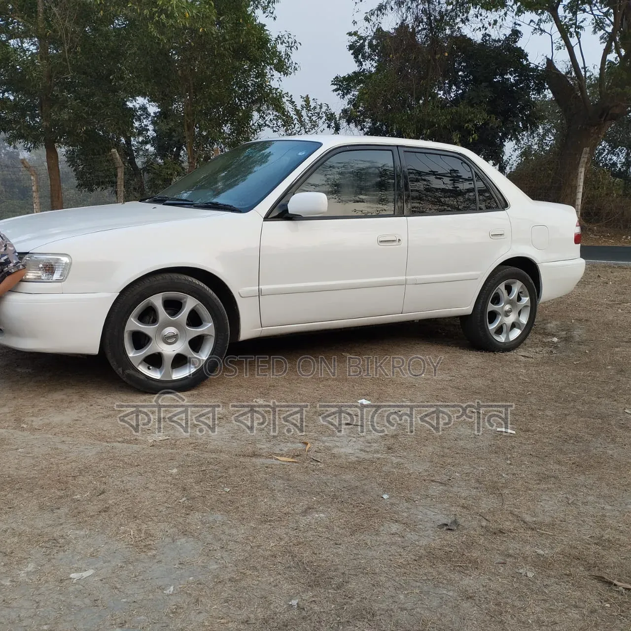 Toyota Corolla 1999 White