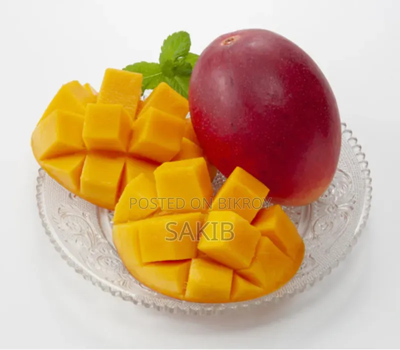 Sun Egg (Miyazaki) Mango Tree – Plastic Drum Planted