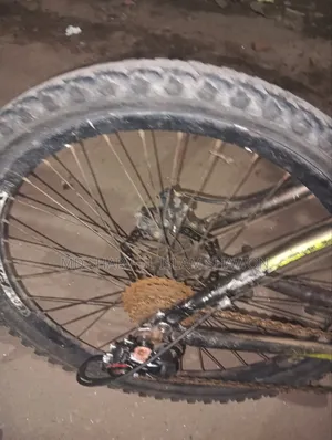 Cycle for sale