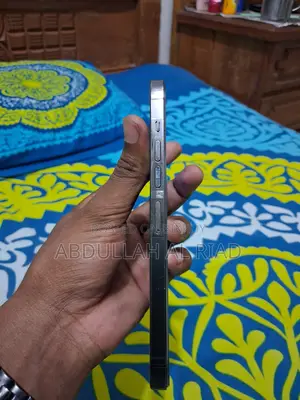 অ্যাপল আইফোন ১৩ প্রো ম্যাক্স ২৫৬ জিবি ব্ল্যাক