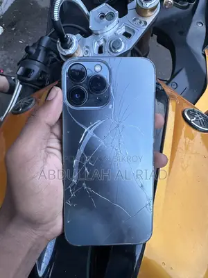 অ্যাপল আইফোন ১৩ প্রো ম্যাক্স ২৫৬ জিবি ব্ল্যাক