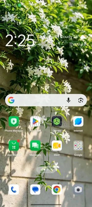 Oppo Reno11 5G 256 GB Green