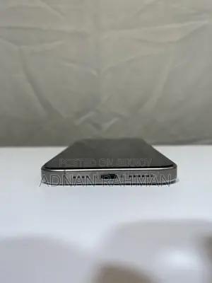 অ্যাপল আইফোন ১৫ প্রো ম্যাক্স ২৫৬ জিবি গ্রে
