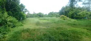 Maryland River View City