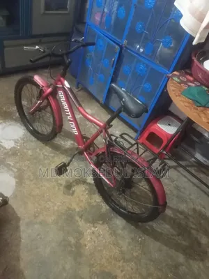 I will sell the bicycle.