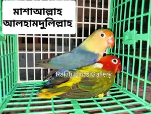 Love Bird for S E Ll