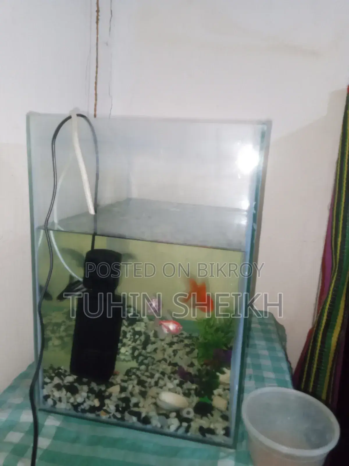 মাছ সহ একুরিয়াম বিক্রি হবে