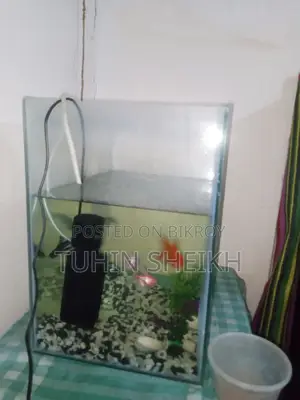 মাছ সহ একুরিয়াম বিক্রি হবে