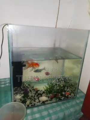 মাছ সহ একুরিয়াম বিক্রি হবে