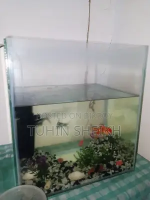 মাছ সহ একুরিয়াম বিক্রি হবে