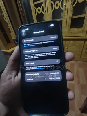 Apple iPhone 15 Pro Max 256 GB Gray