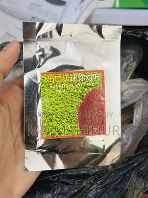 700 Gm Aqua Soil and Carpeting Seeds