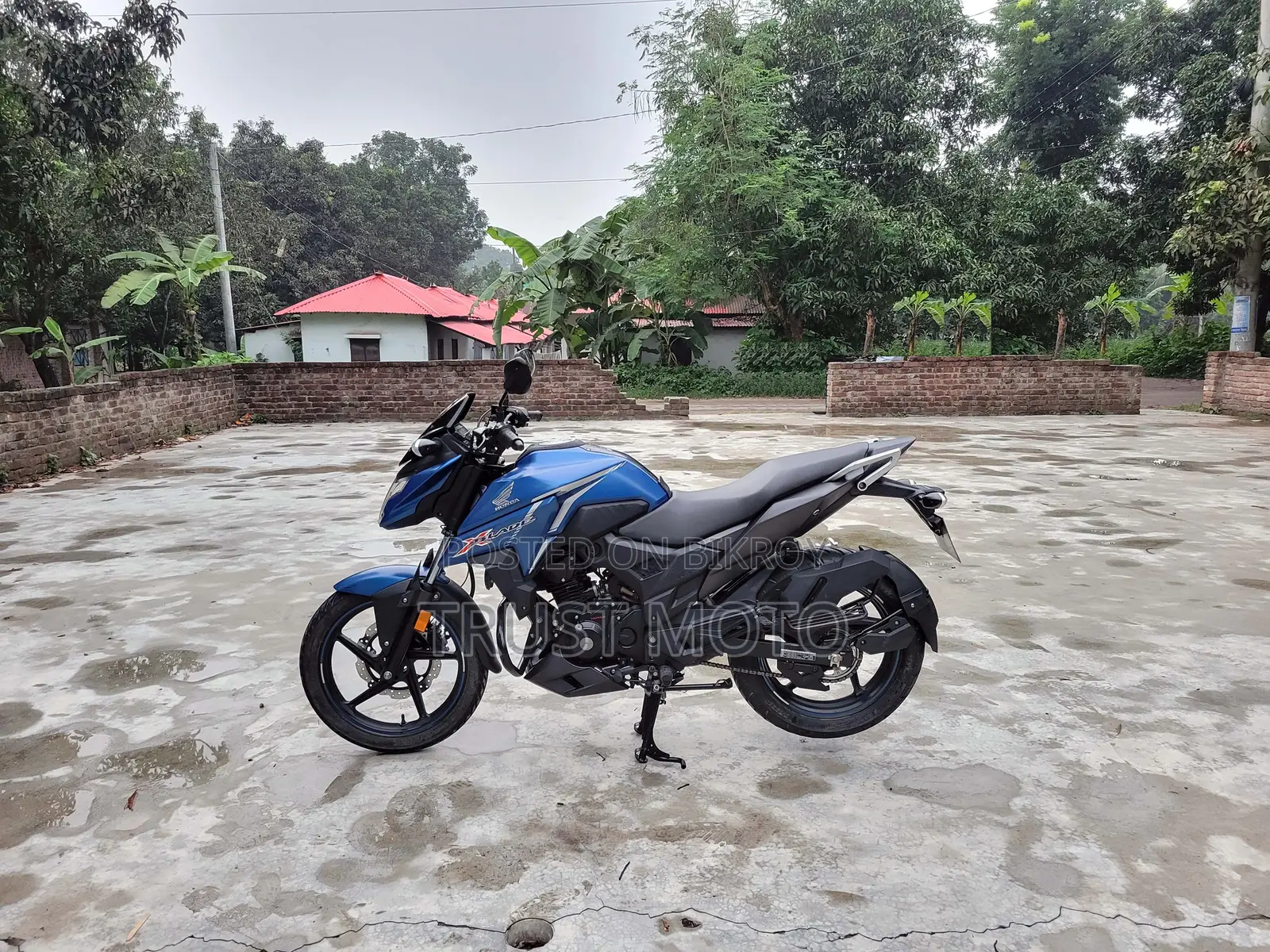 হোন্ডা এক্স-ব্লেড ১৬০ ২০২২ নীল