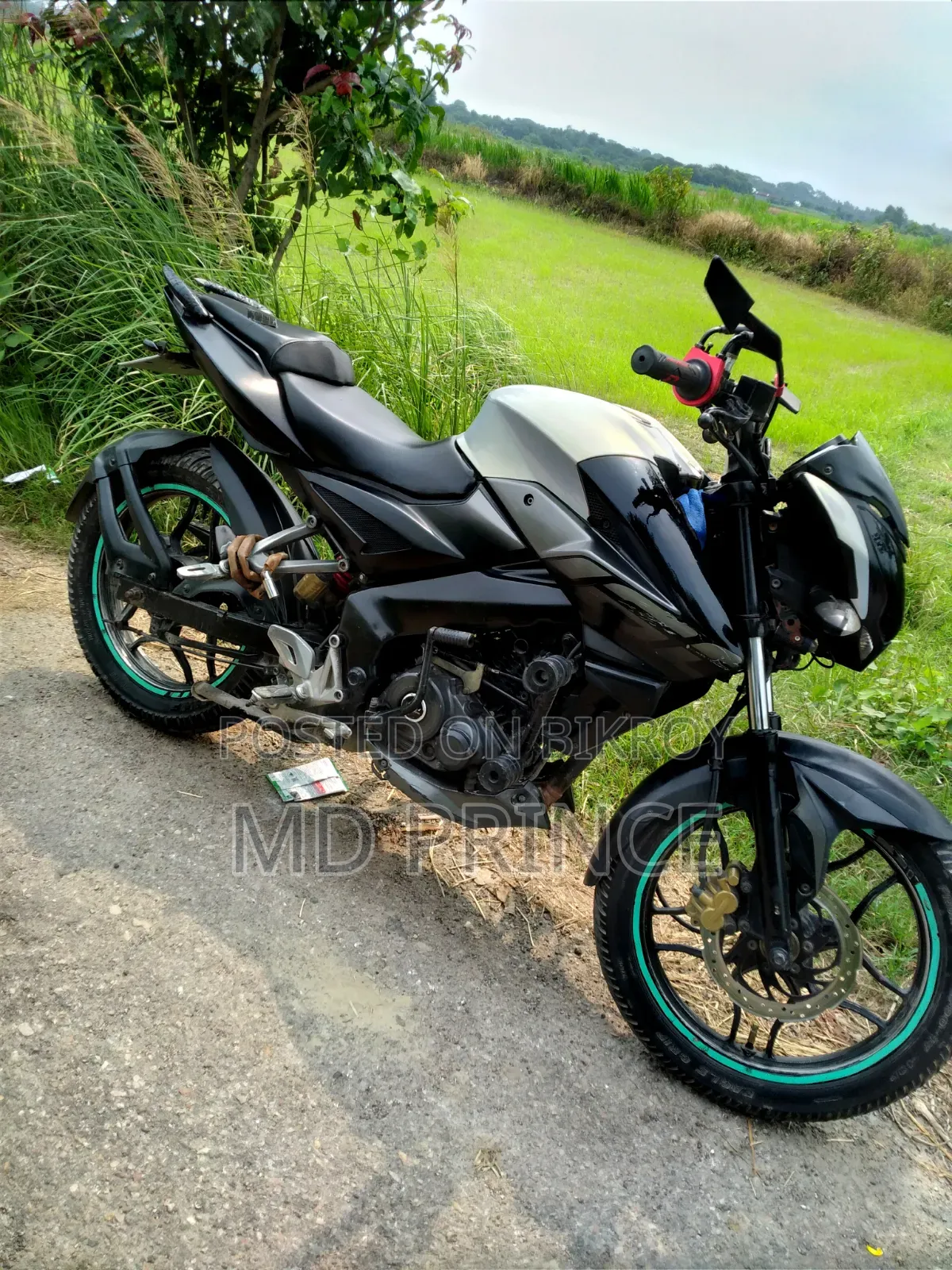 Bajaj Pulsar NS 160 2018 Black