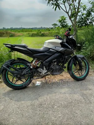 Bajaj Pulsar NS 160 2018 Black