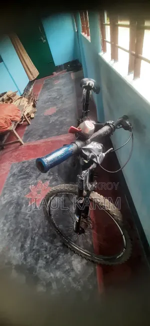 এটা বাইসাইকেল এটার নাম হলো গ্রেকার।এটা অত্যন্ত আরামদায়ক  সাইকেল।